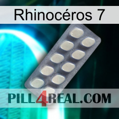 Rhinocéros 7 08
